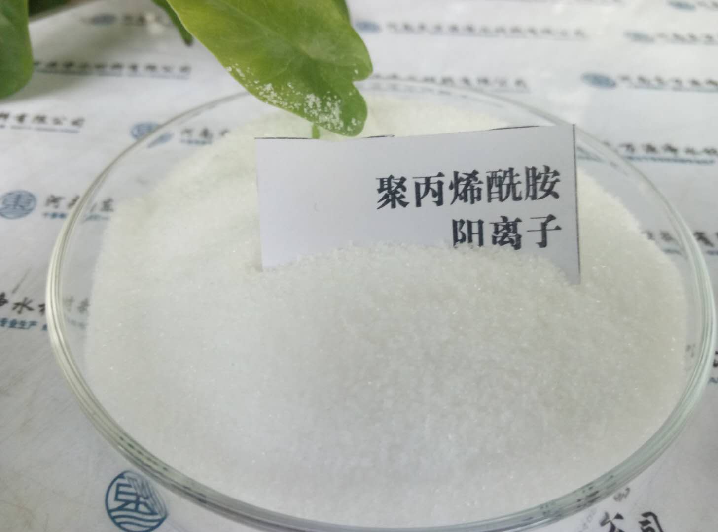 �νzԽ�L(zh��ng)���۱�ϩ�����|(zh��)��Խ�������ô��